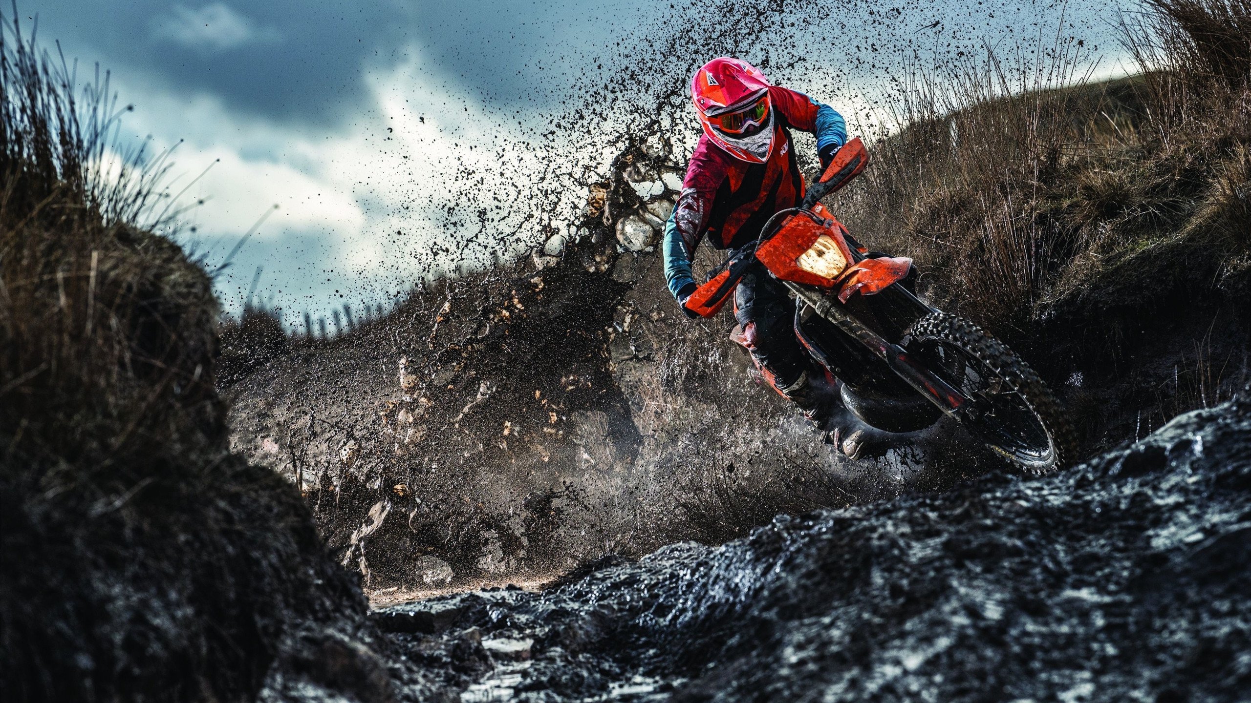 《Apex Legends》新地图上线，战局变化引发热议，apex.地图